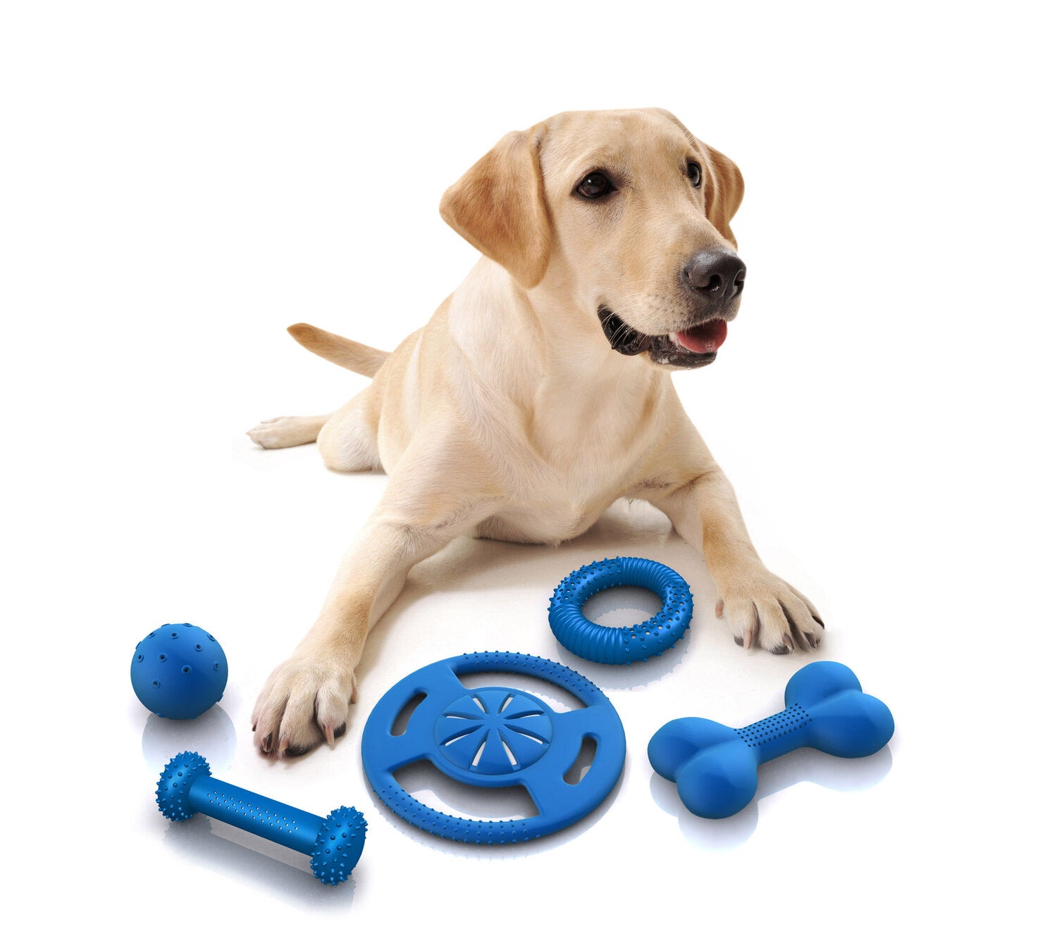 Top 10 Pet Supplies on Amazon 2024