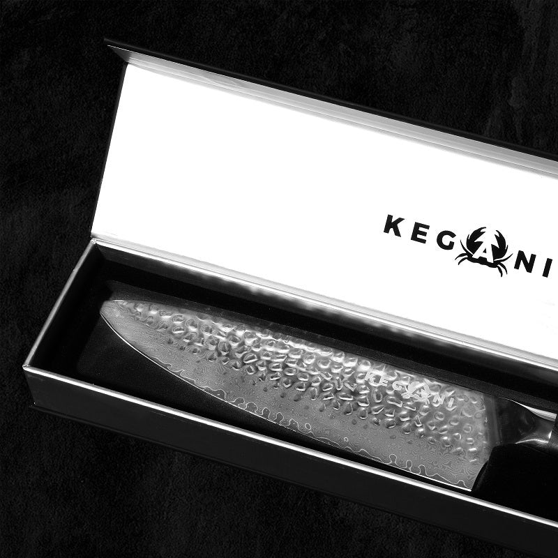 Kegani Chef's Knife